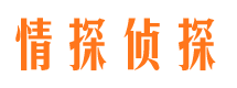 井陉县背景调查